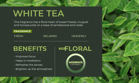 Rosemoores White Tea Scented Tea Light (Pack of 9)
