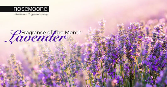 Fragrance of the Month- What Makes Lavender one of the Most Sought After Fragrances Worldwide