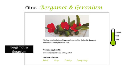 Rosemoore Bergamot & Geranium Scented Reed Diffuser
