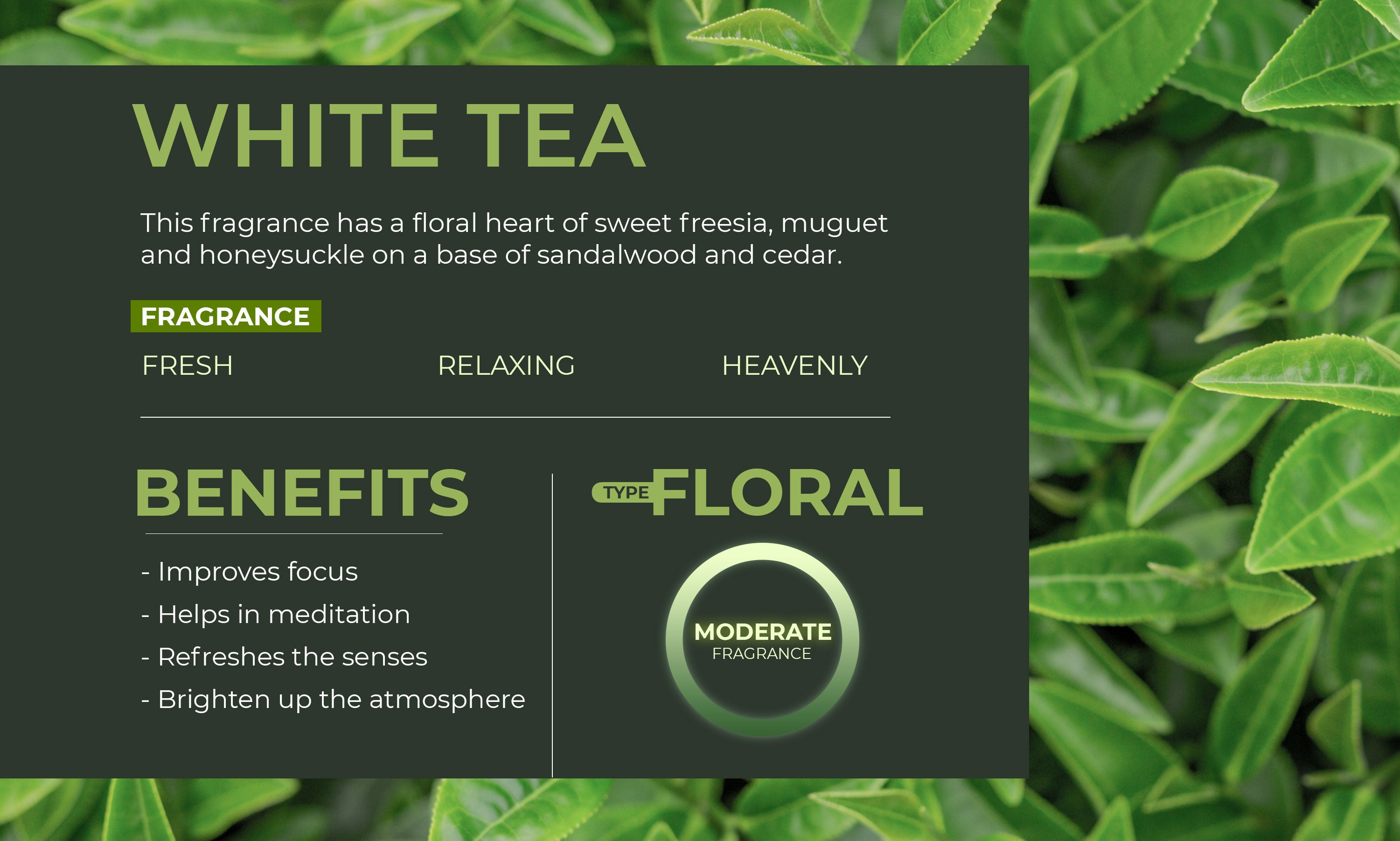 Scented Reed Diffuser Refill Oil White Tea