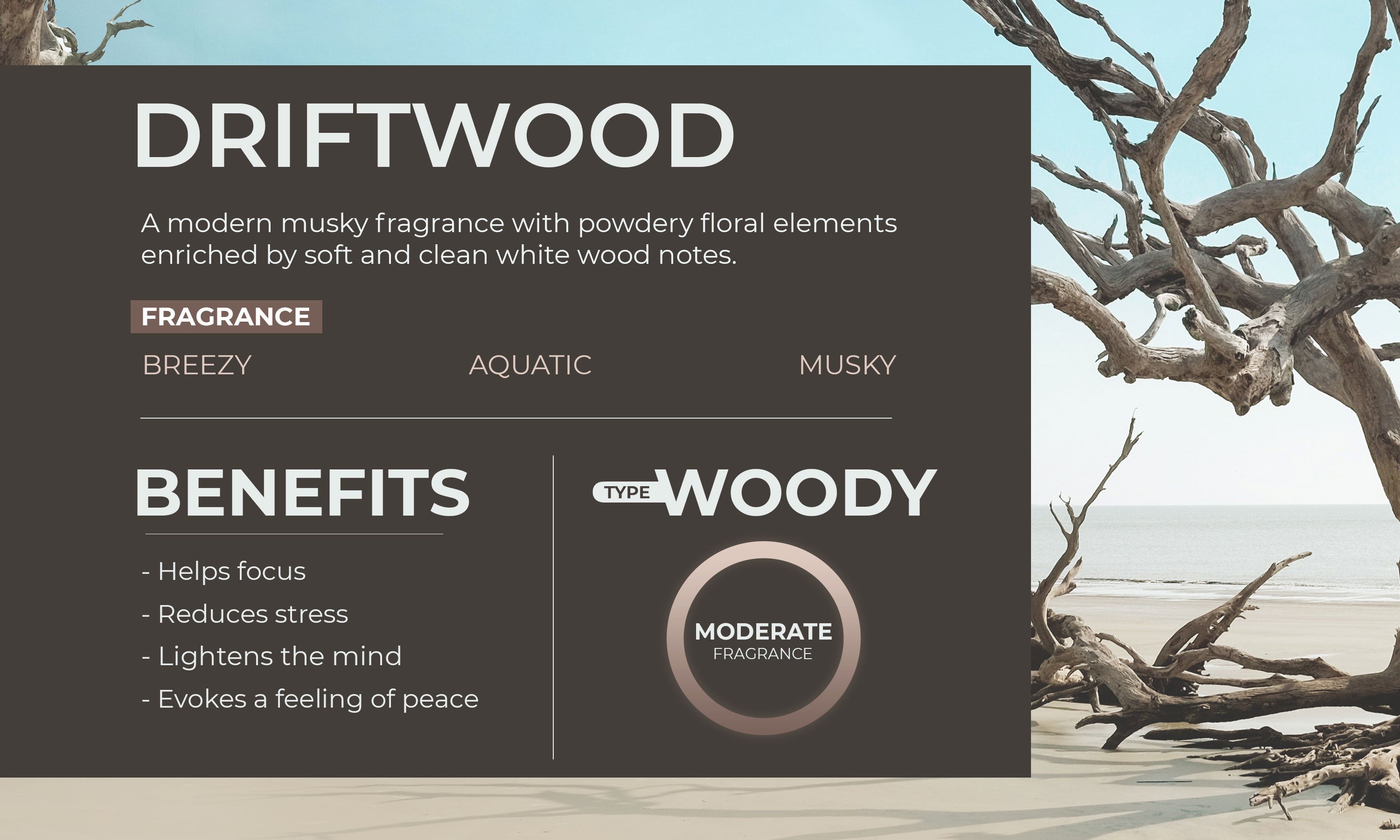 Scented Wooden Balls Driftwood