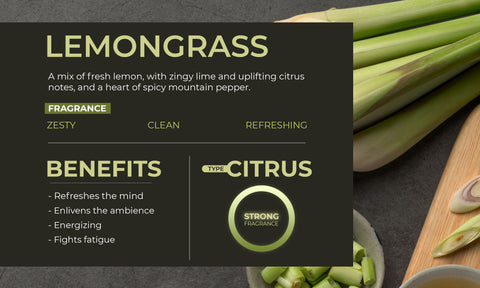 Buy Reed Diffuser online.