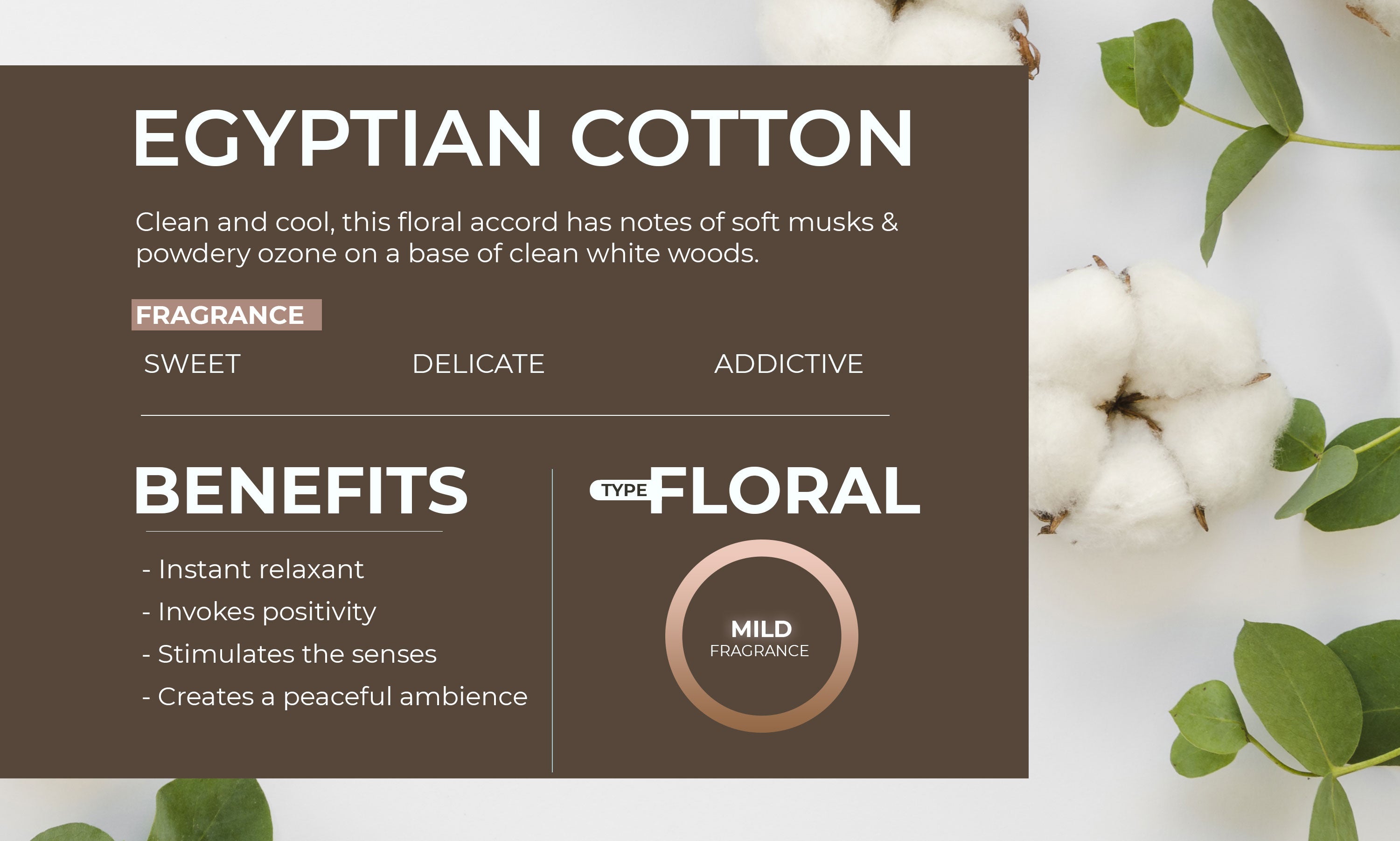 Scented Home Fragrance Oil Egyptian Cotton