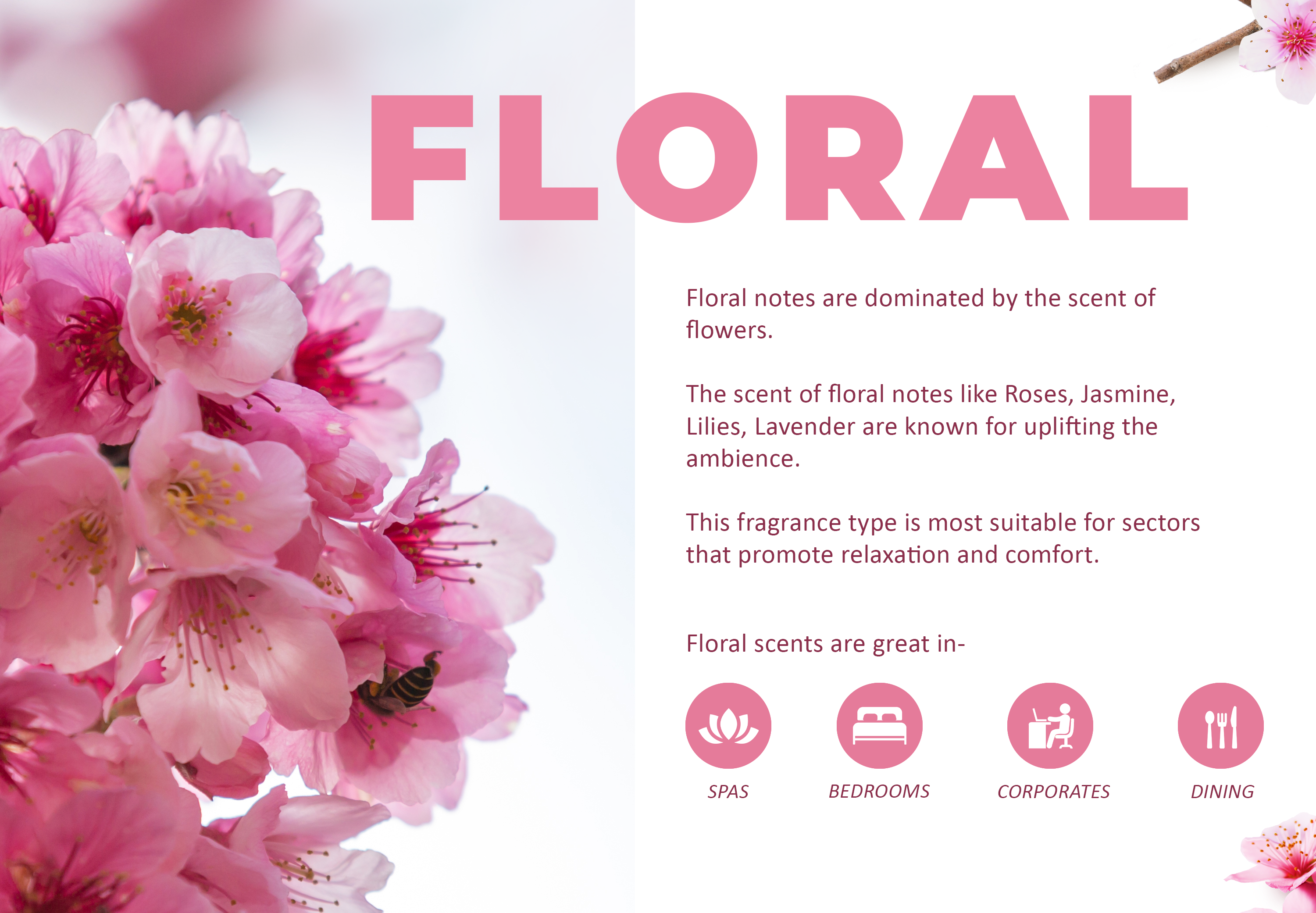 Floral scent description cheap