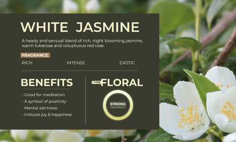 Rosemoore White Jasmine Scented Home Fragrance Oil 15ml
